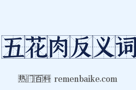 五花肉反义词是什么意思的图片